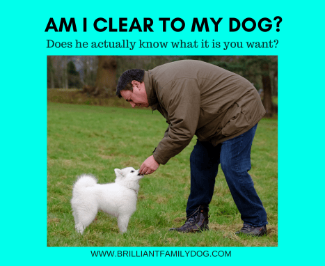 Am I clear to my dog?
