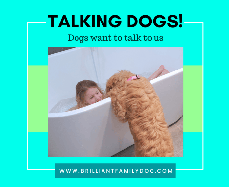 Talking dogs!