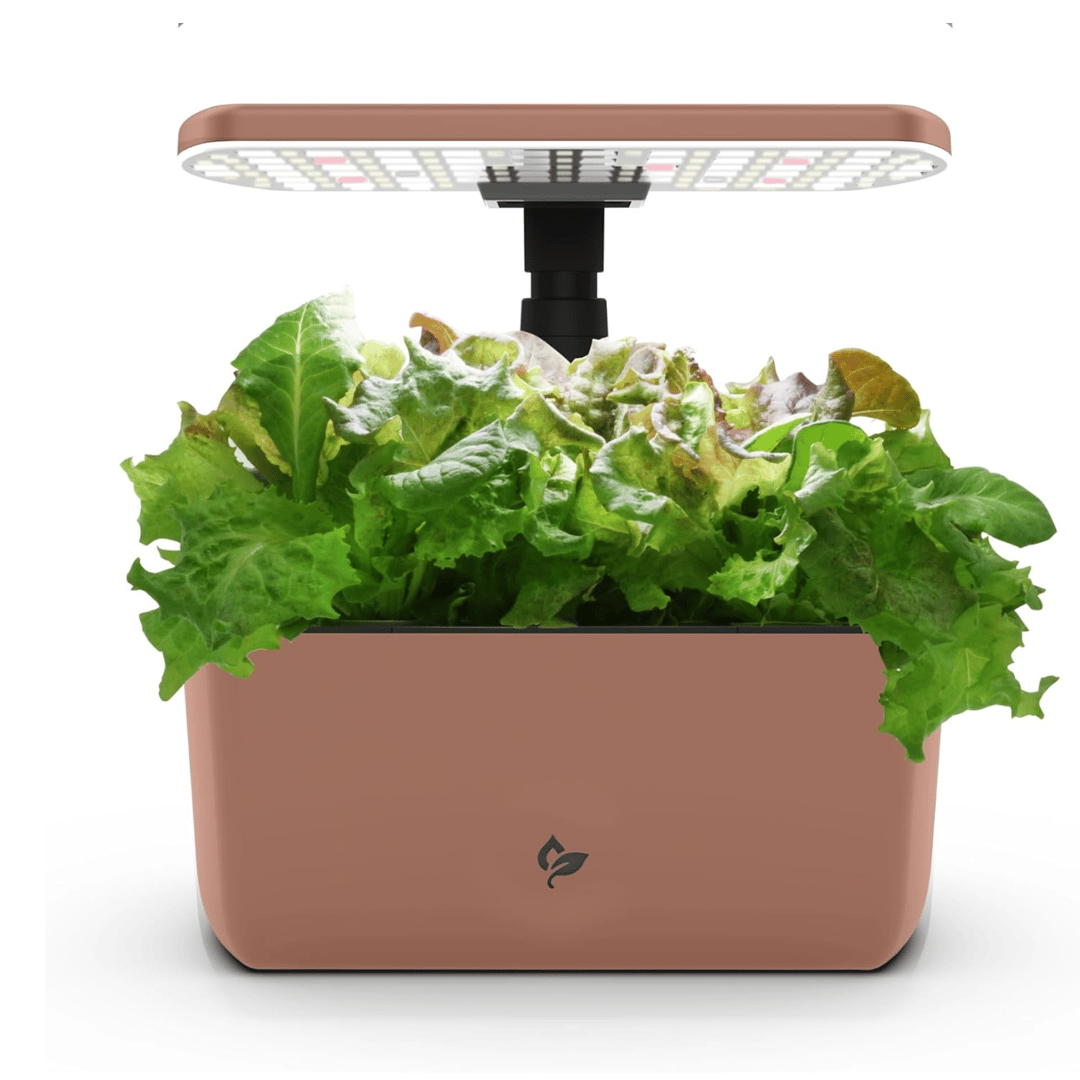 Hydroponic Garden 