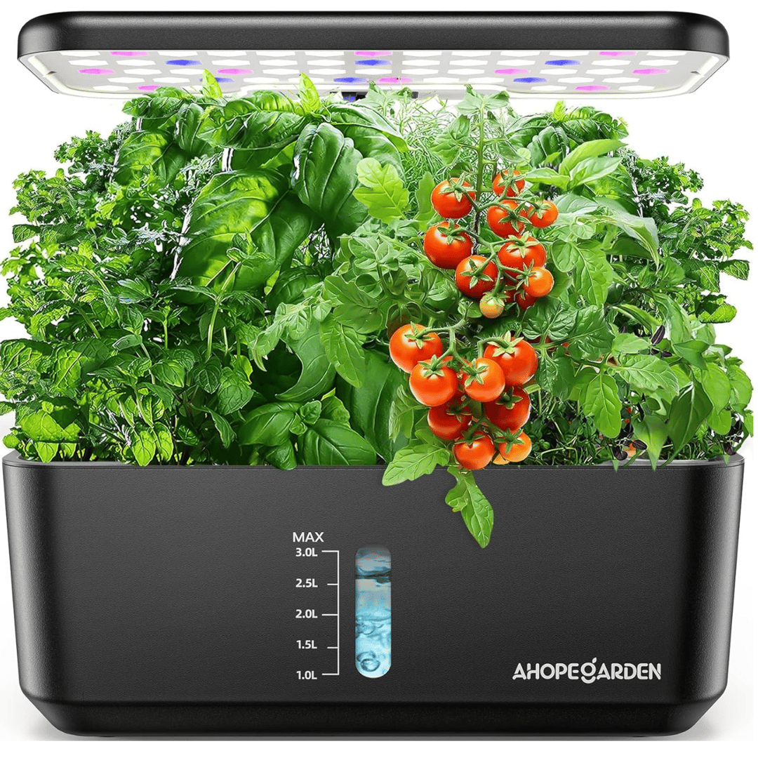 indoor garden 