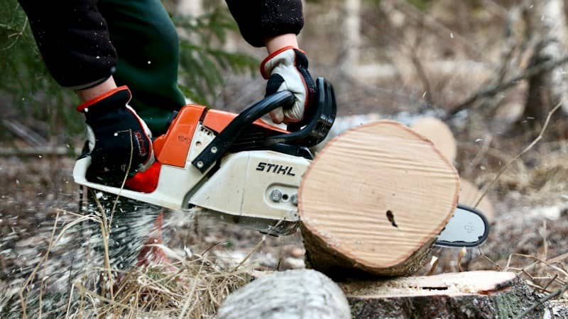 A person wearing work gloves cutting a log with a chainsaw in a forest