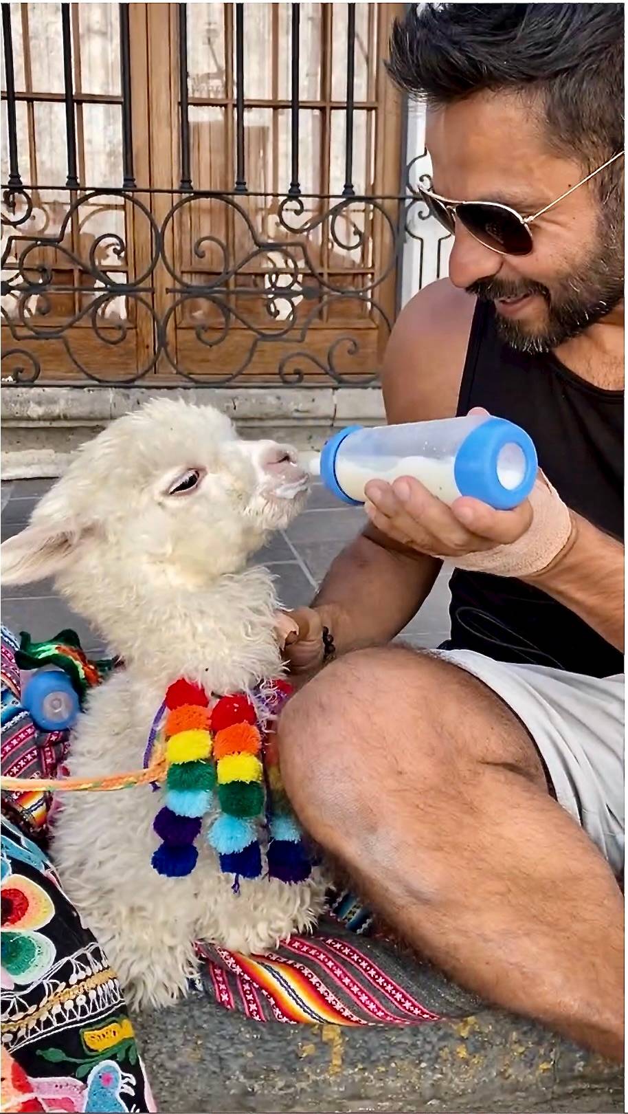 Zaheer sits on stone steps feeding a baby alpaca with a bottle. The alpaca is relaxed, wearing a colourful woven garment with rainbow tassels. Zaheer, smiling gently, holds the bottle with care. Behind them is an ornate wooden door with wrought iron bars.