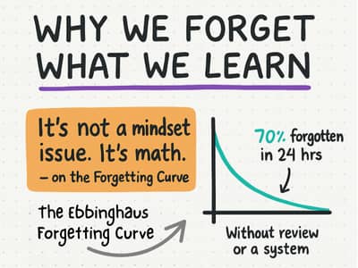 Why We Forget What We Learn