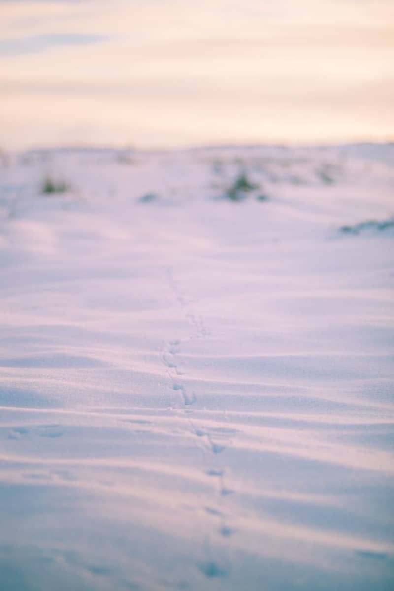 A person walking across a snow covered field