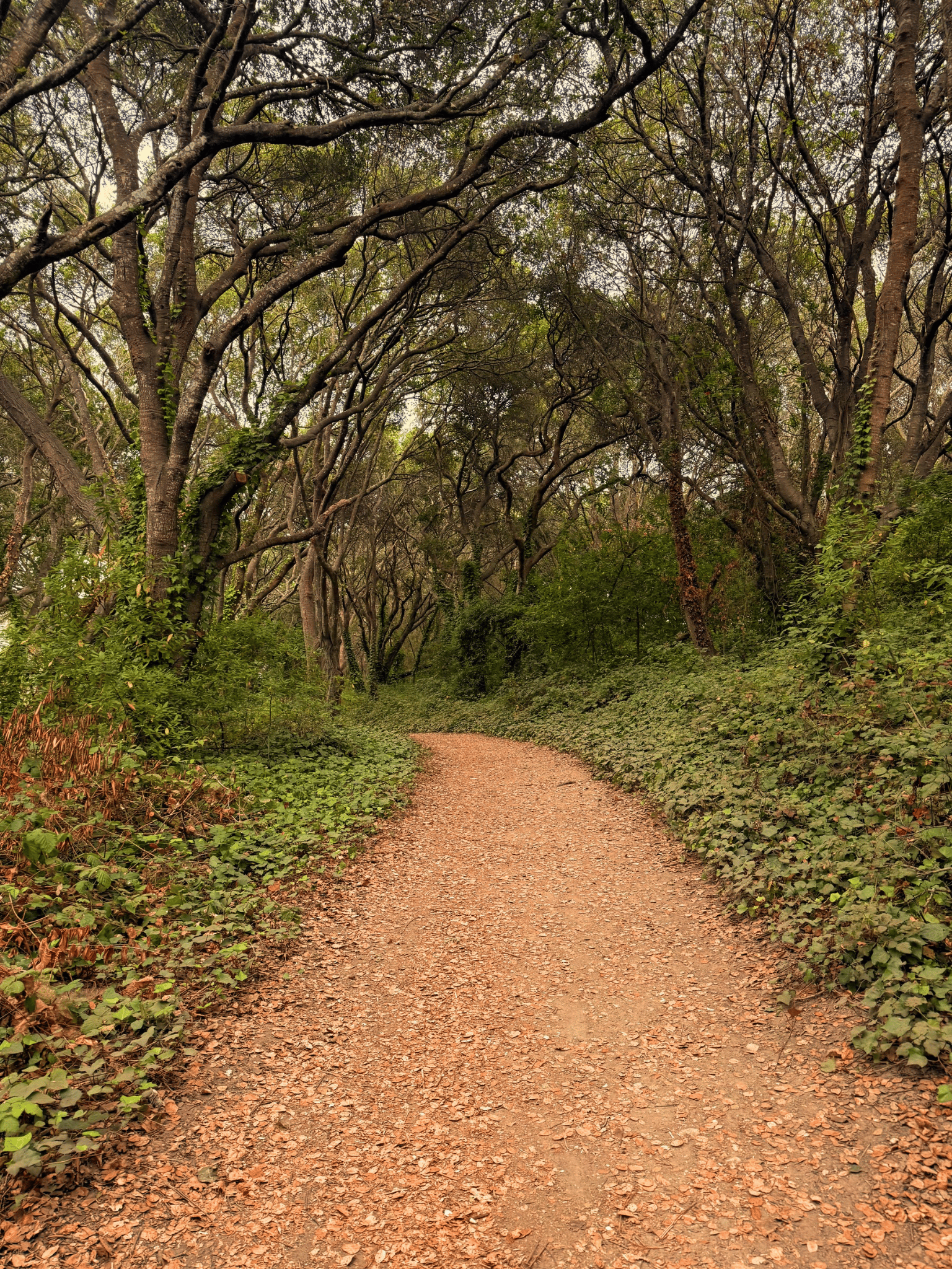 Making the Shift: A guided Path toward a life supported by your creative work.