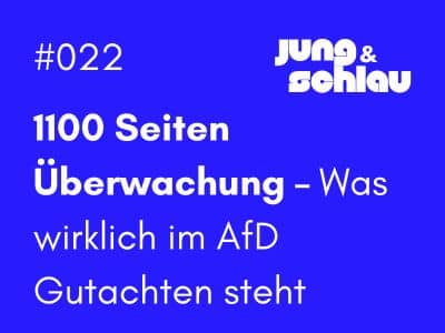 AfD Gutachten 2025, Verfassungsschutz, Meinungsfreiheit, Rechtsextremismus, Medienkritik, Demokratie, Zensur, Parteienverbot, juristische Bewertung