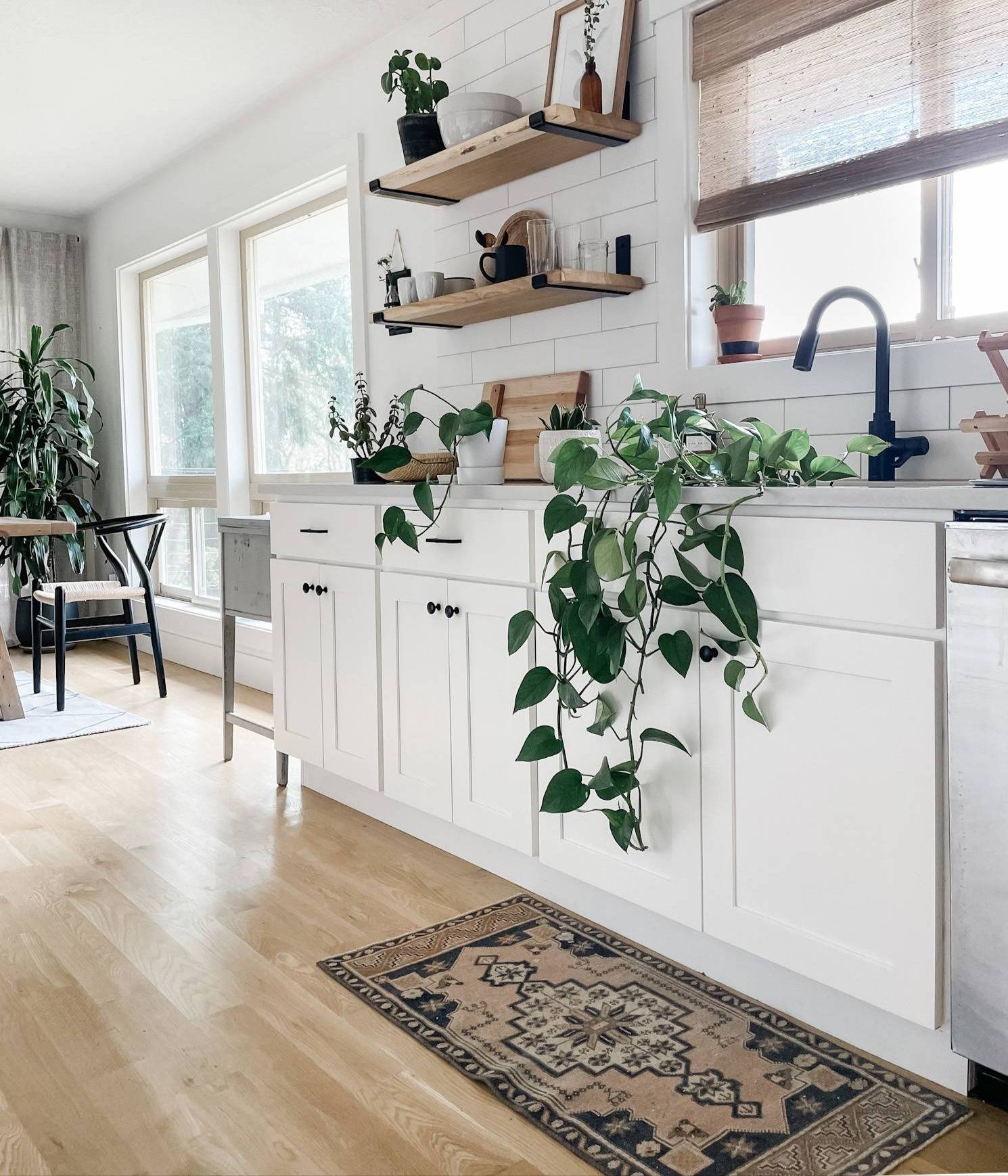 white kitchen with plant and rug