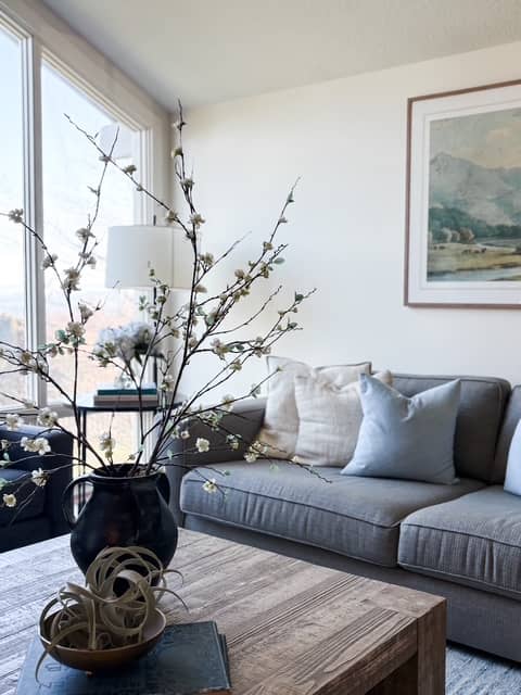 coastal modern living room with couch, pillows, and decor