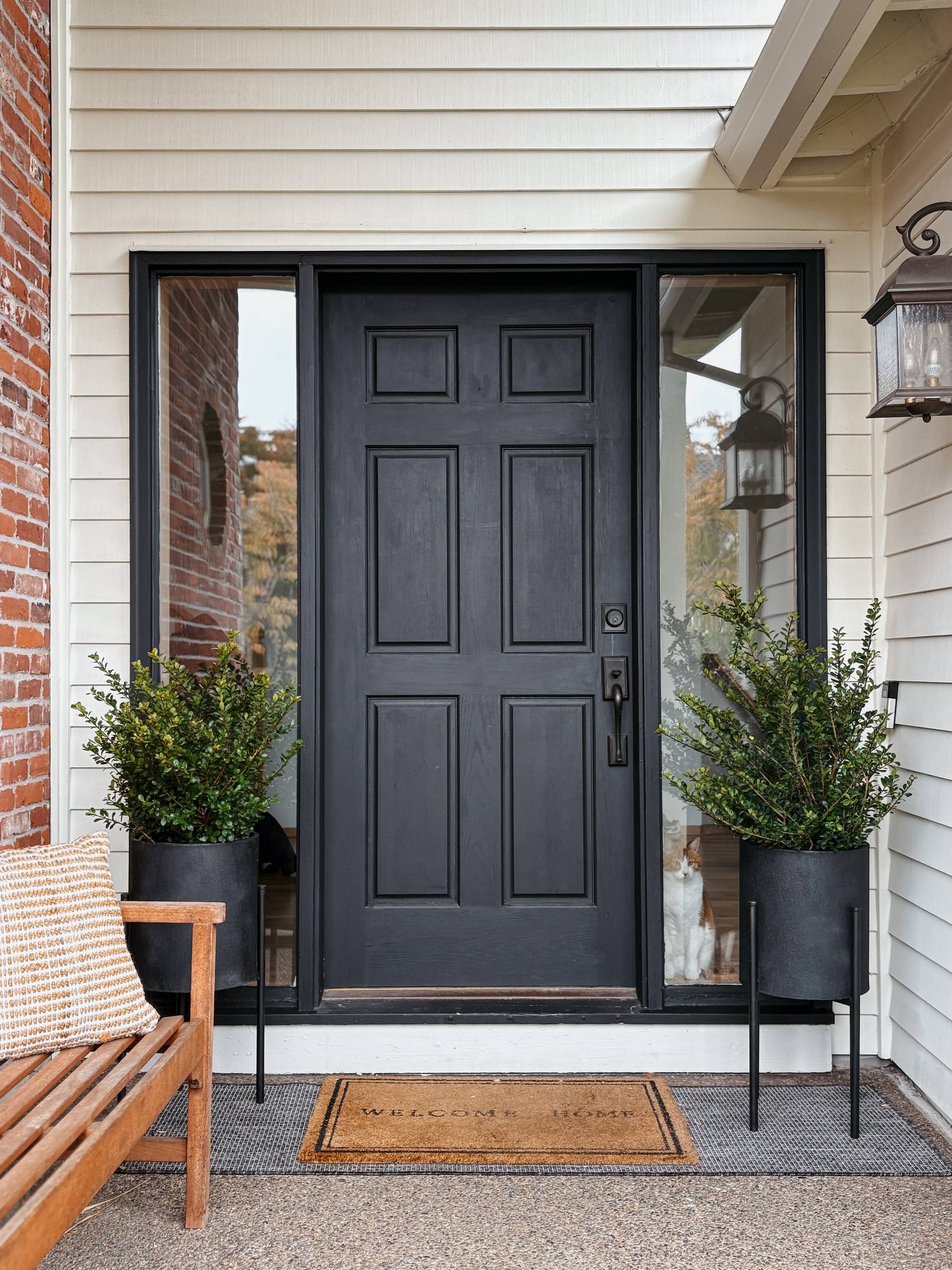 black front doors with planters