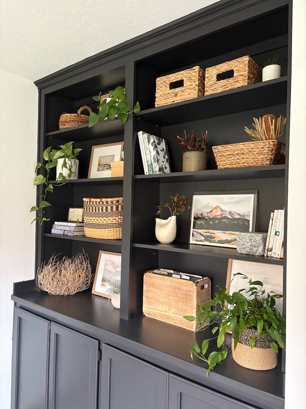 black cabinet built in shelves with plants and neutral decor