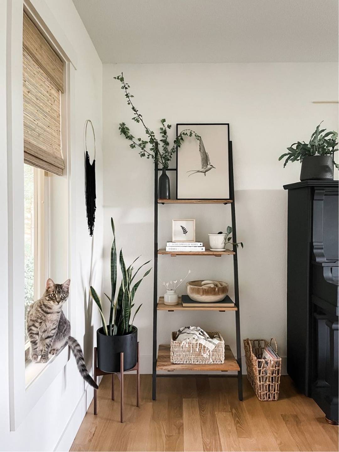 living room with a tall bookshelf and decor with a cat on the window sill