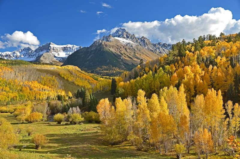 Snow-capped mountains above a valley of golden aspen trees at Dallas Divide
