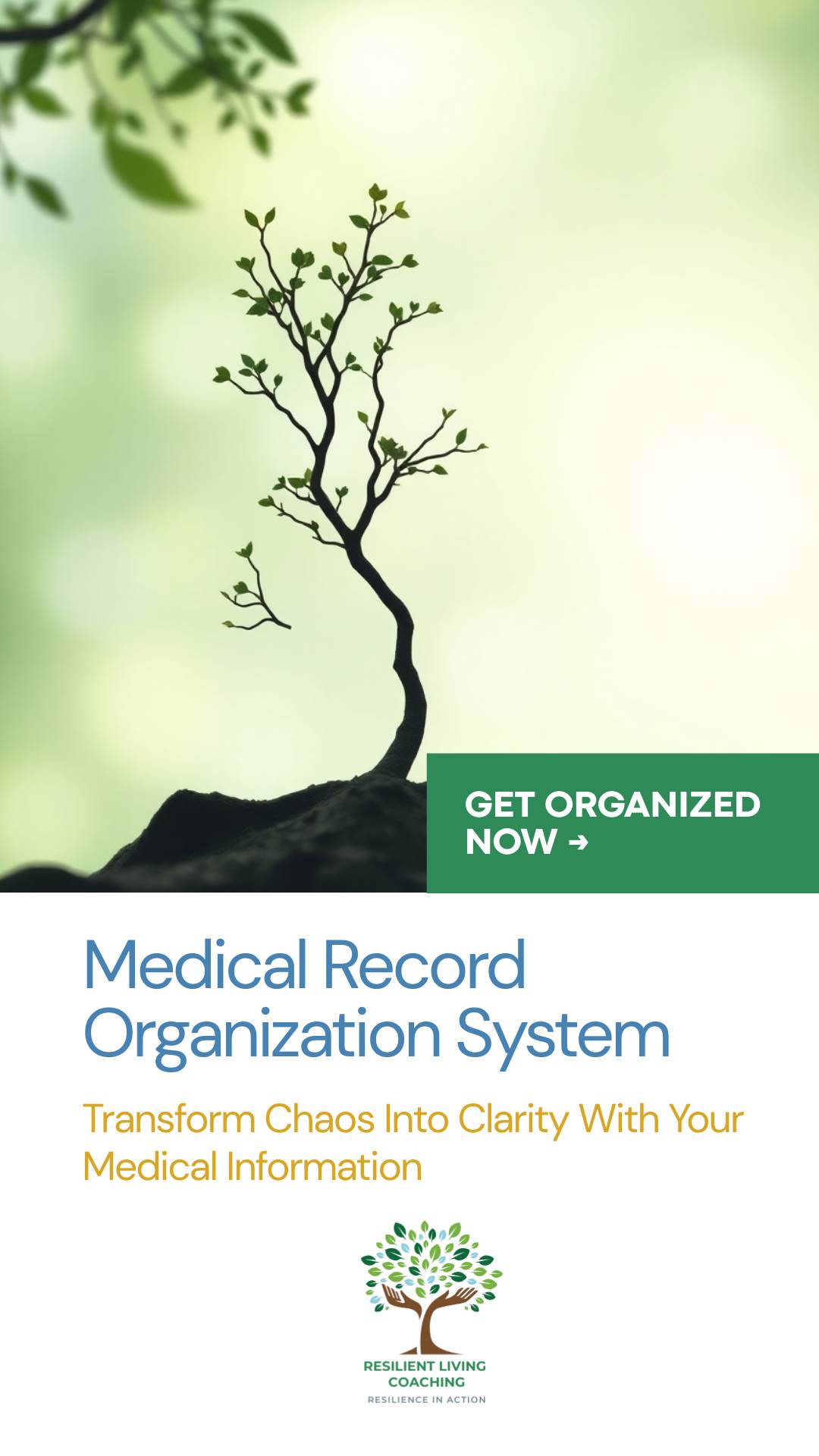 Medical Record Organization System