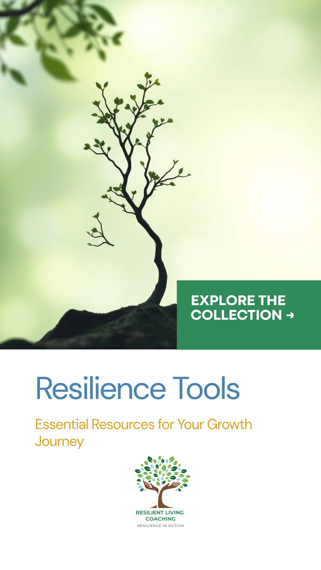 Complete Advocacy Resource Library