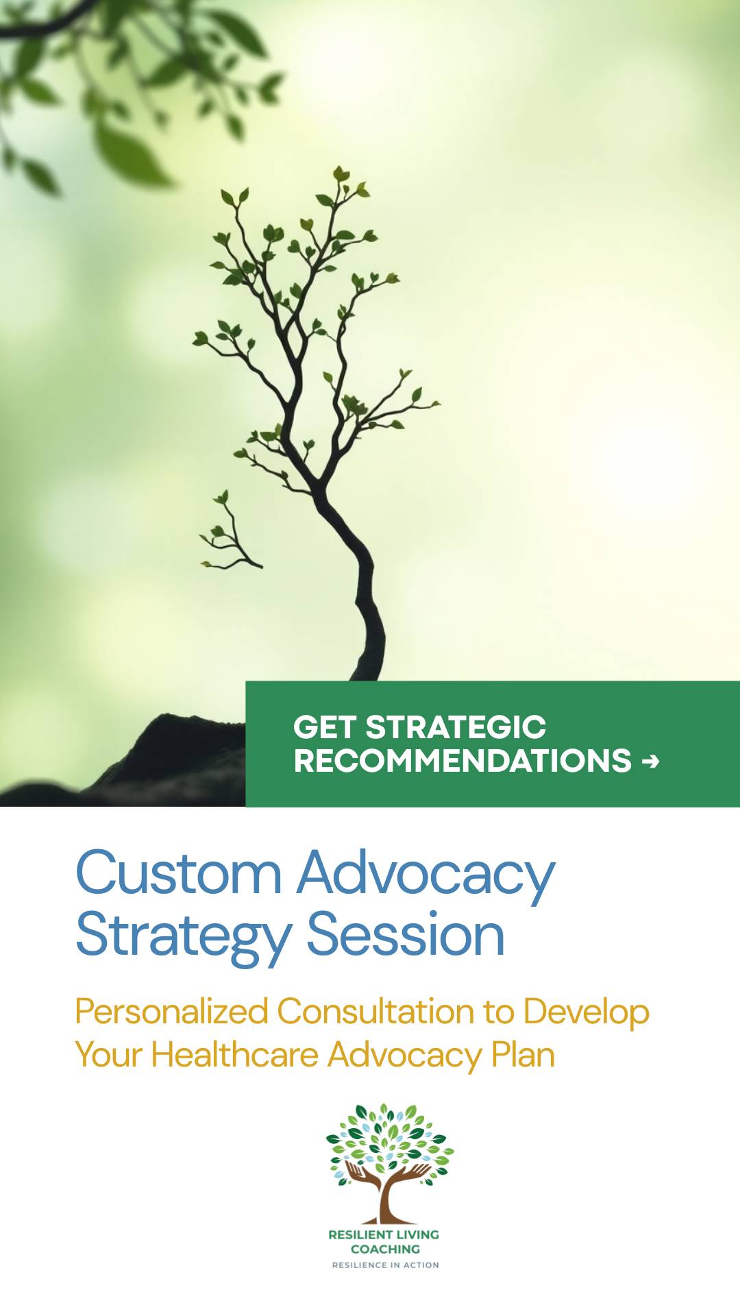 Custom Advocacy Strategy Session