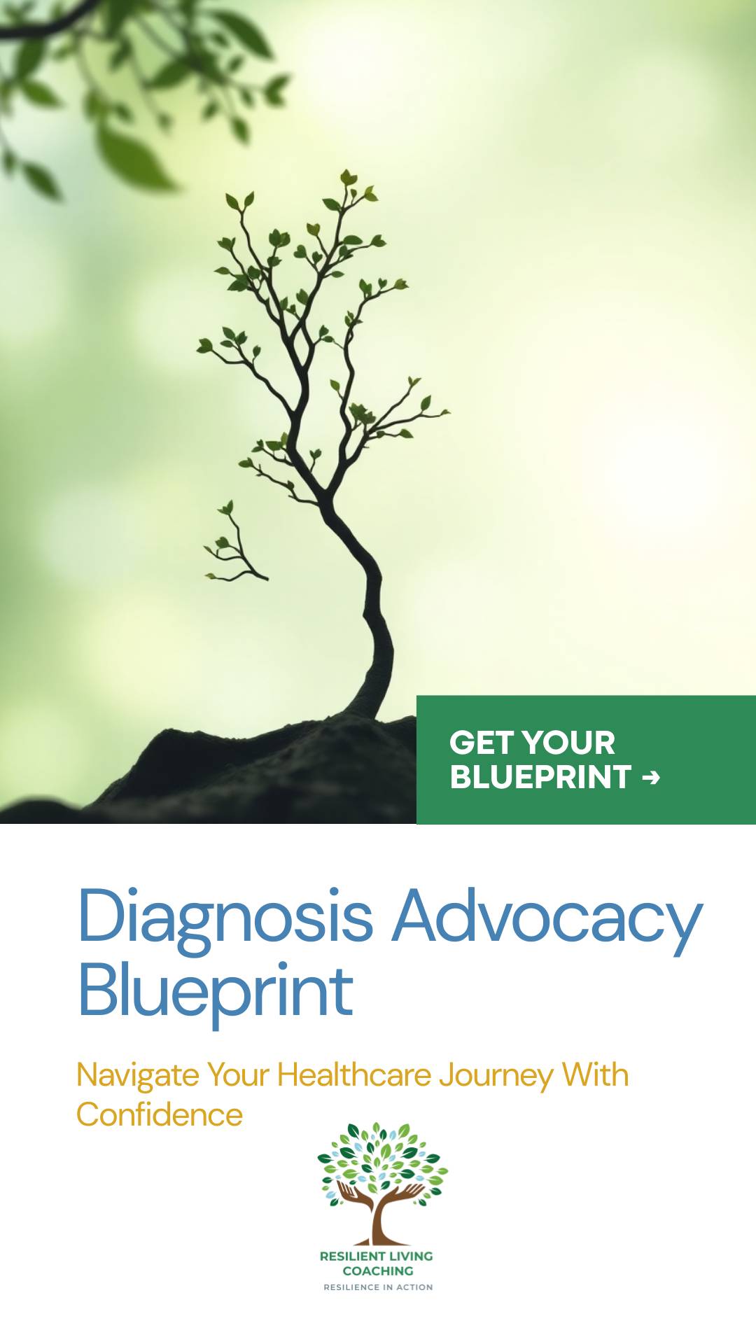 Diagnosis Advocacy Blueprint