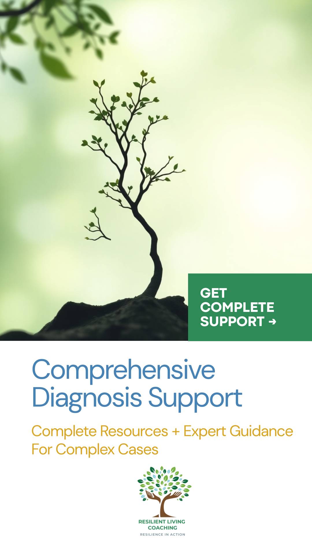 Comprehensive Diagnosis Support
