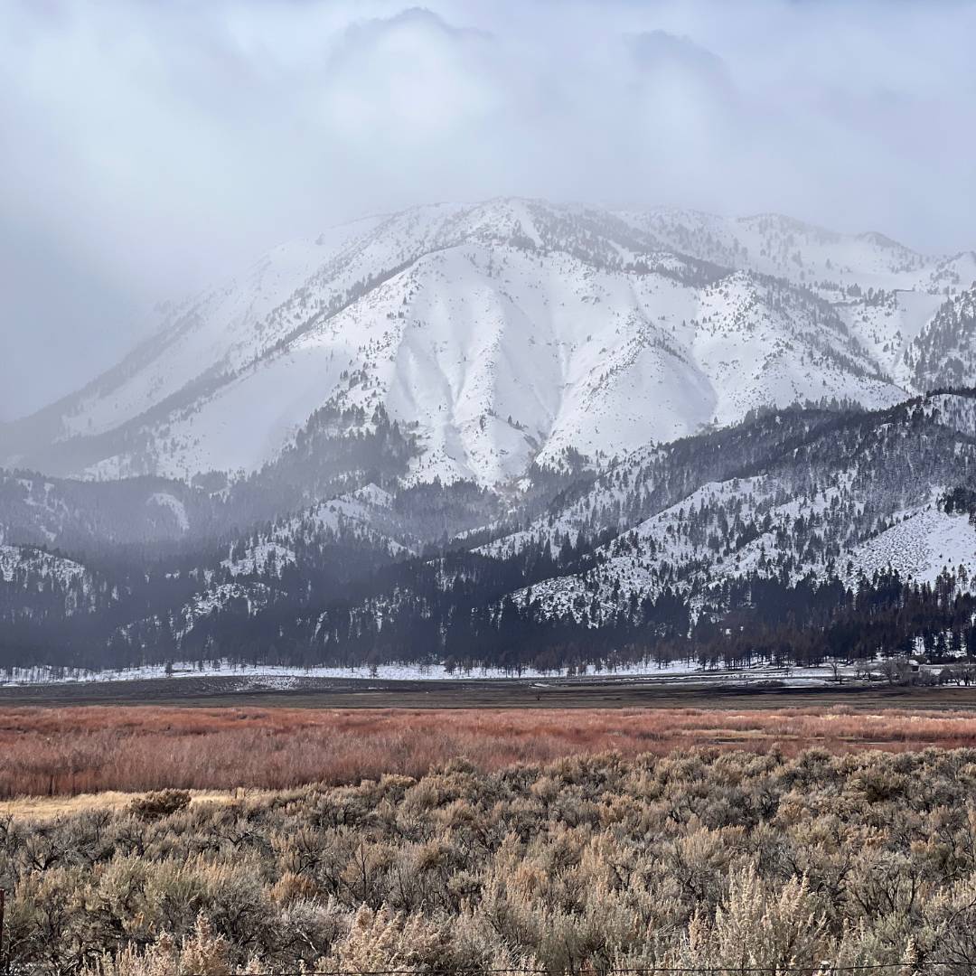 Sierra Nevada Mountains Covered in Snow