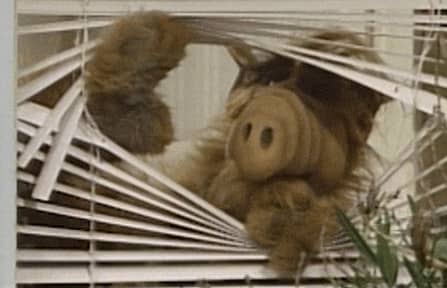 Character looking through window blinds.