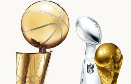 Collection of sport championship trophies.