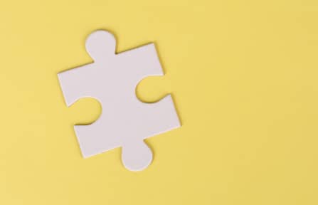 Missing puzzle piece.