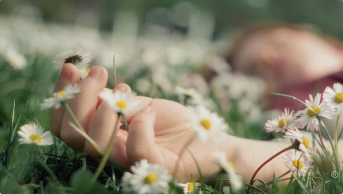 Child’s hand in grass field
