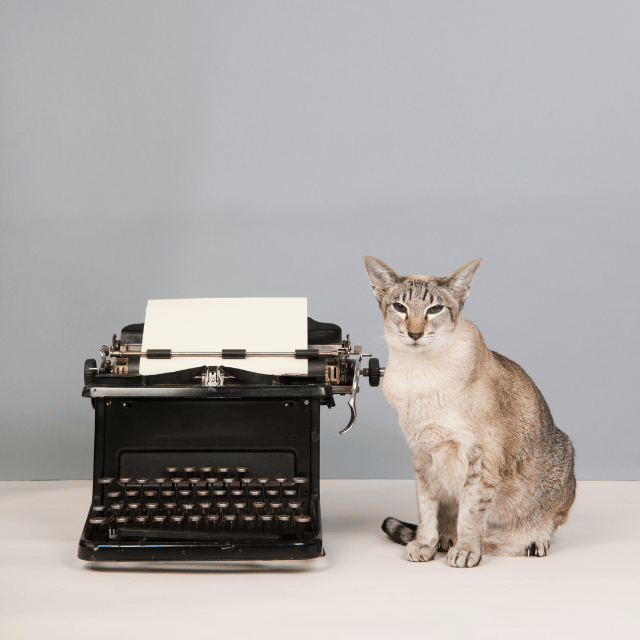 "Object Diaries" against an antique white backkground, a  green glass paperweight to the right