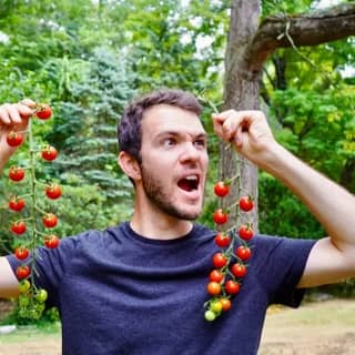 Recommended Creator