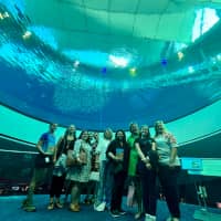 photo in aquarium 