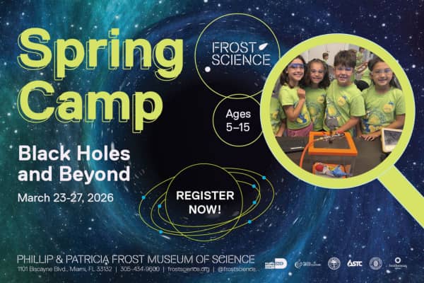 Spring Camp at the Phillip and Patricia Frost Museum of Science
