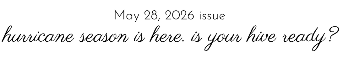 Newsletter header