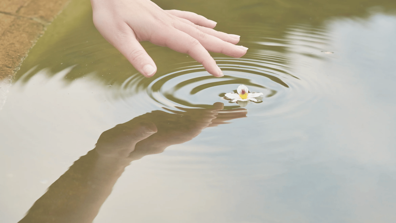 Touching water and seeing the ripple effect