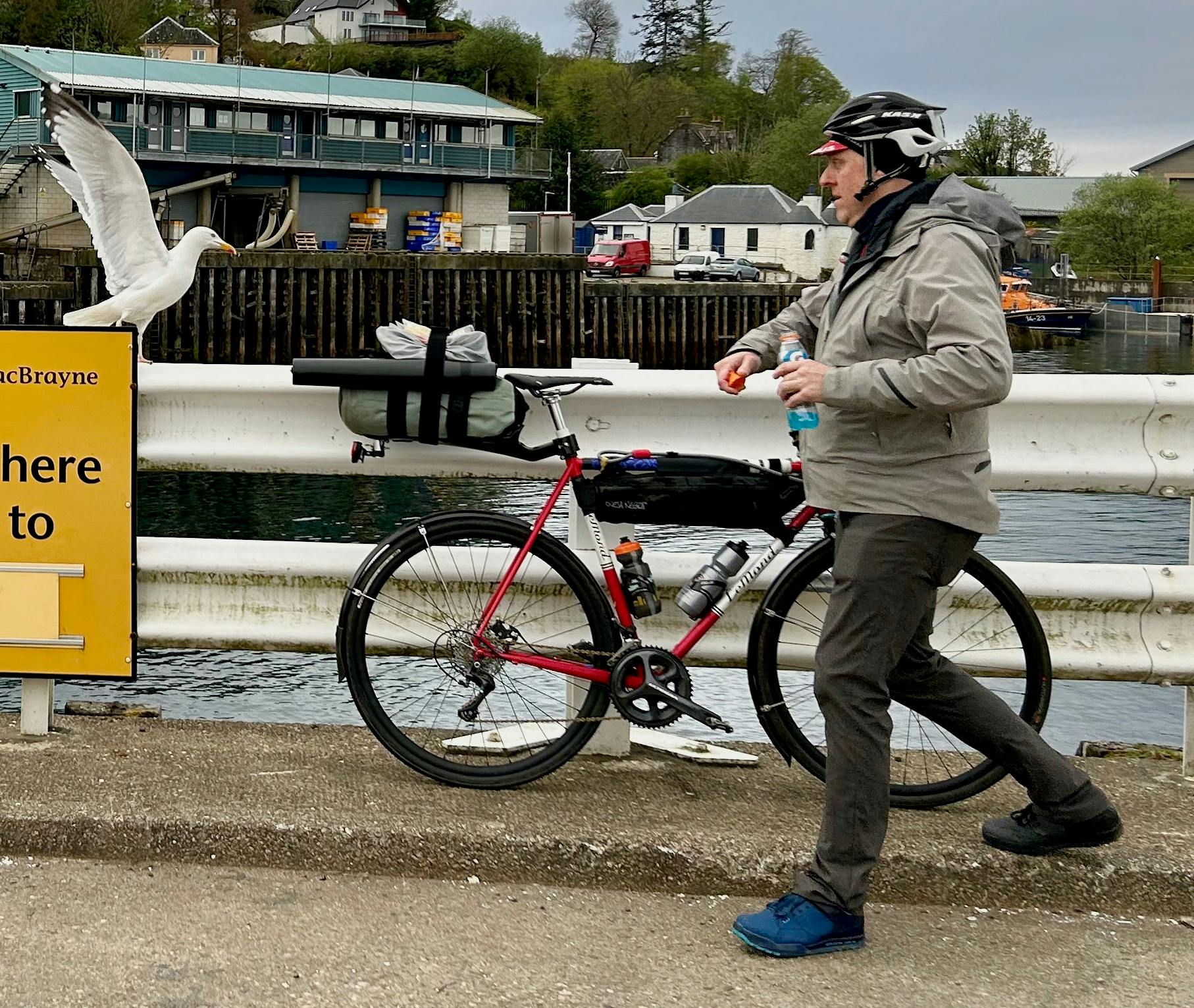 Robert tries to scare a seagull away from eating a sandwich strapped to his bike rack