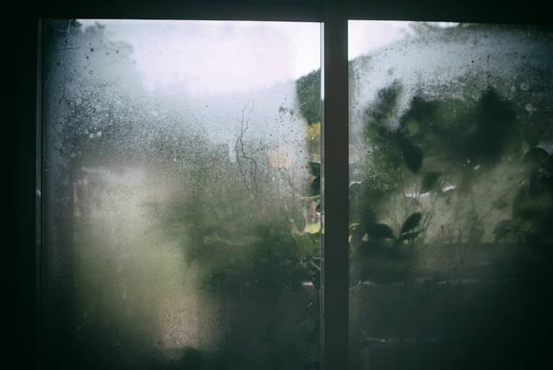 View through a foggy window of green foliage.