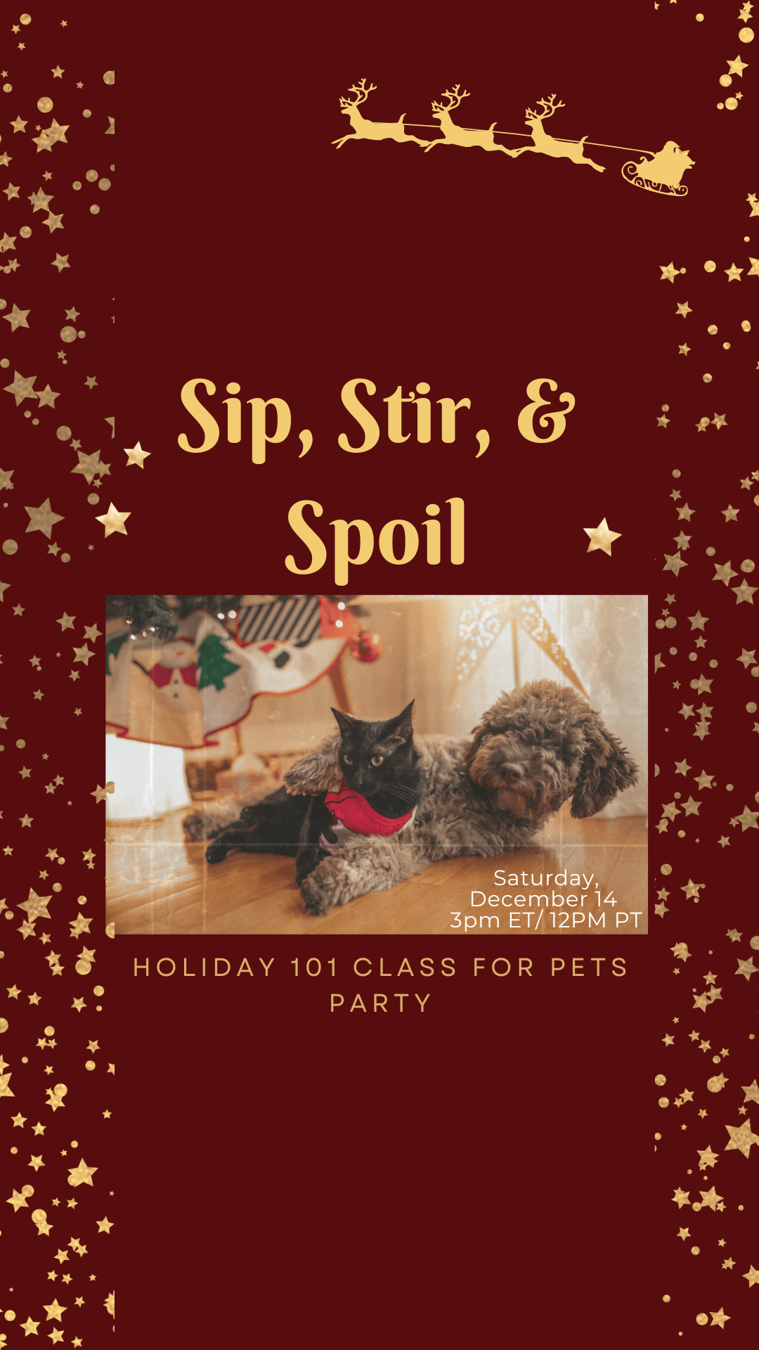 Sip, Stir, and Spoil: Holiday 101 Class For Pets