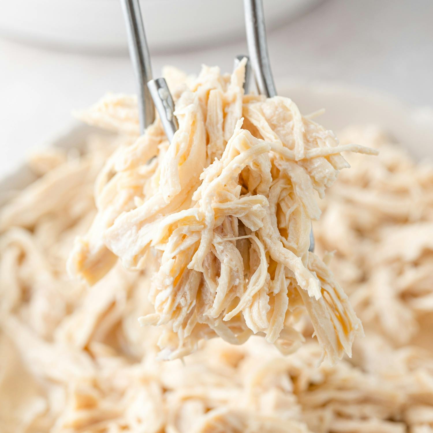 Shredded chicken held with tongs.