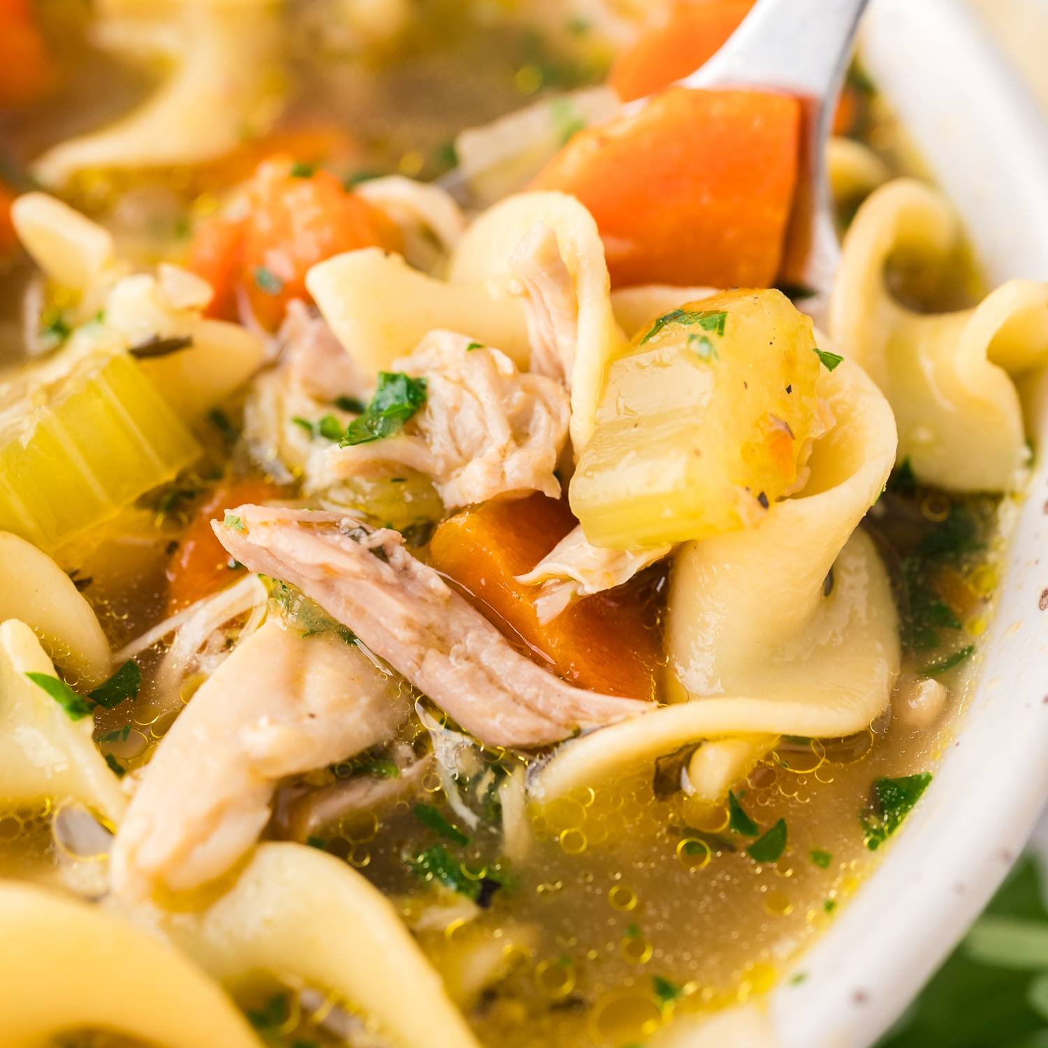 Close of view of chicken noodle soup with carrots, chicken, egg noodles.