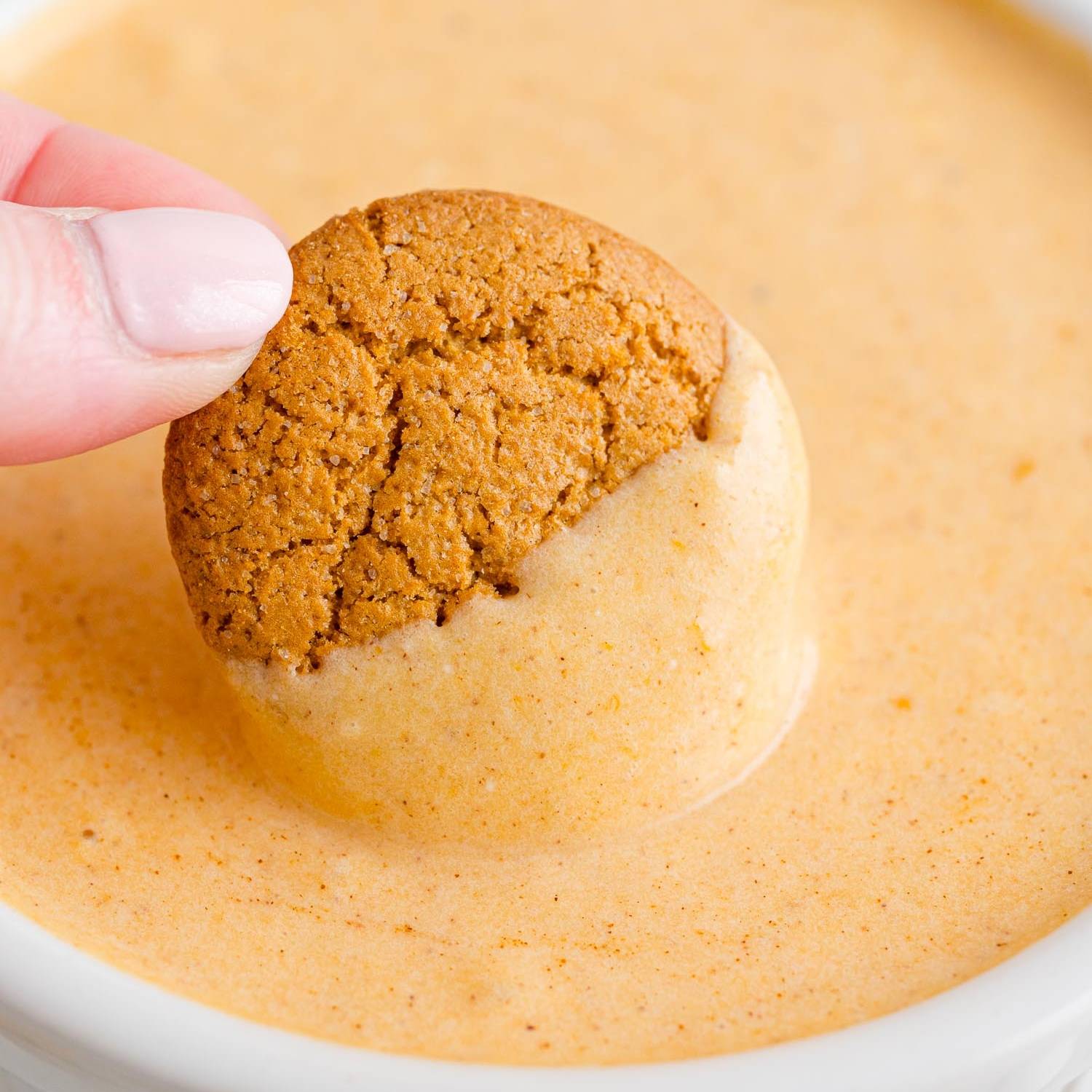 Gingersnap being dipped into pumpkin dip.