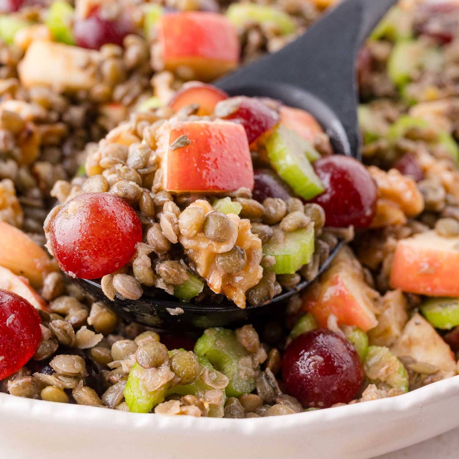 Lentil waldorf salad being scooped out with a black spoon.