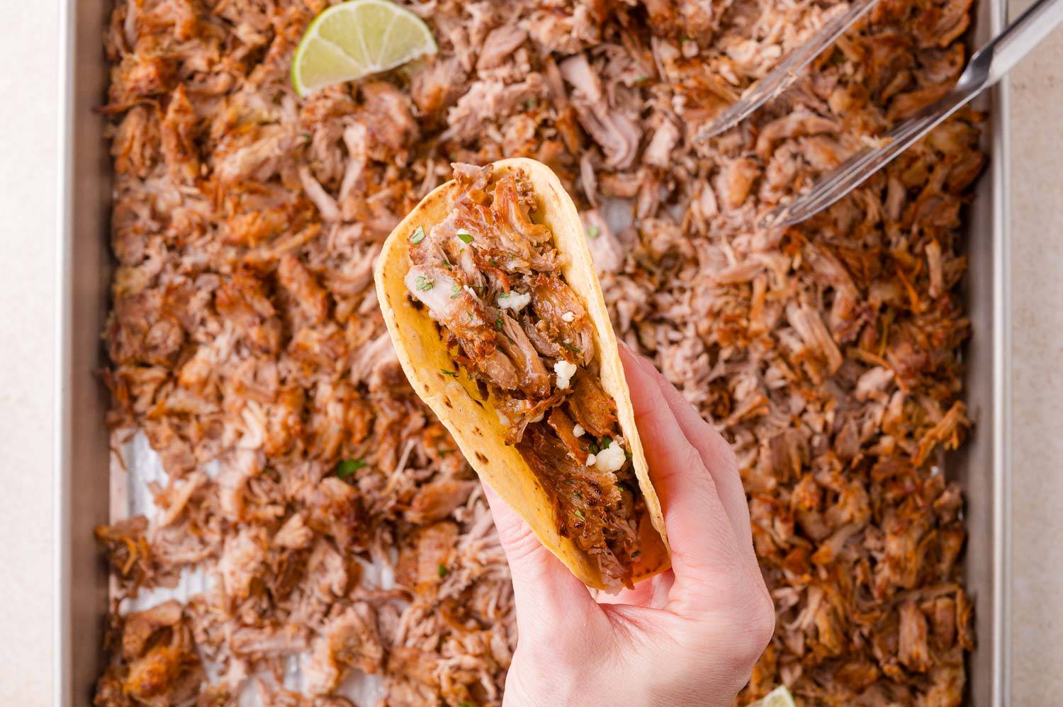 Carnitas in a corn tortilla held over more carnitas on a sheet pan.