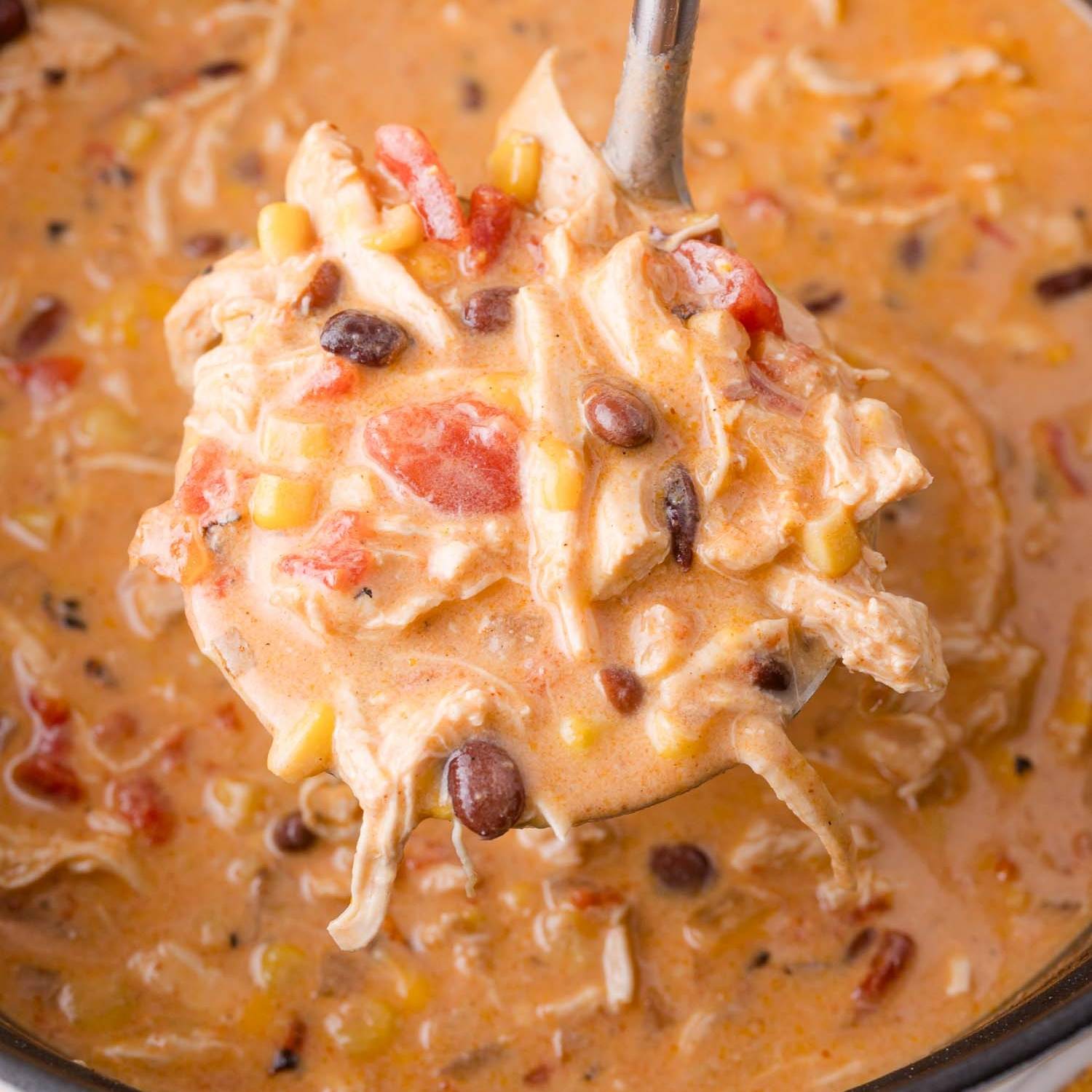Chicken enchilada soup in a ladle over a large pot of soup.
