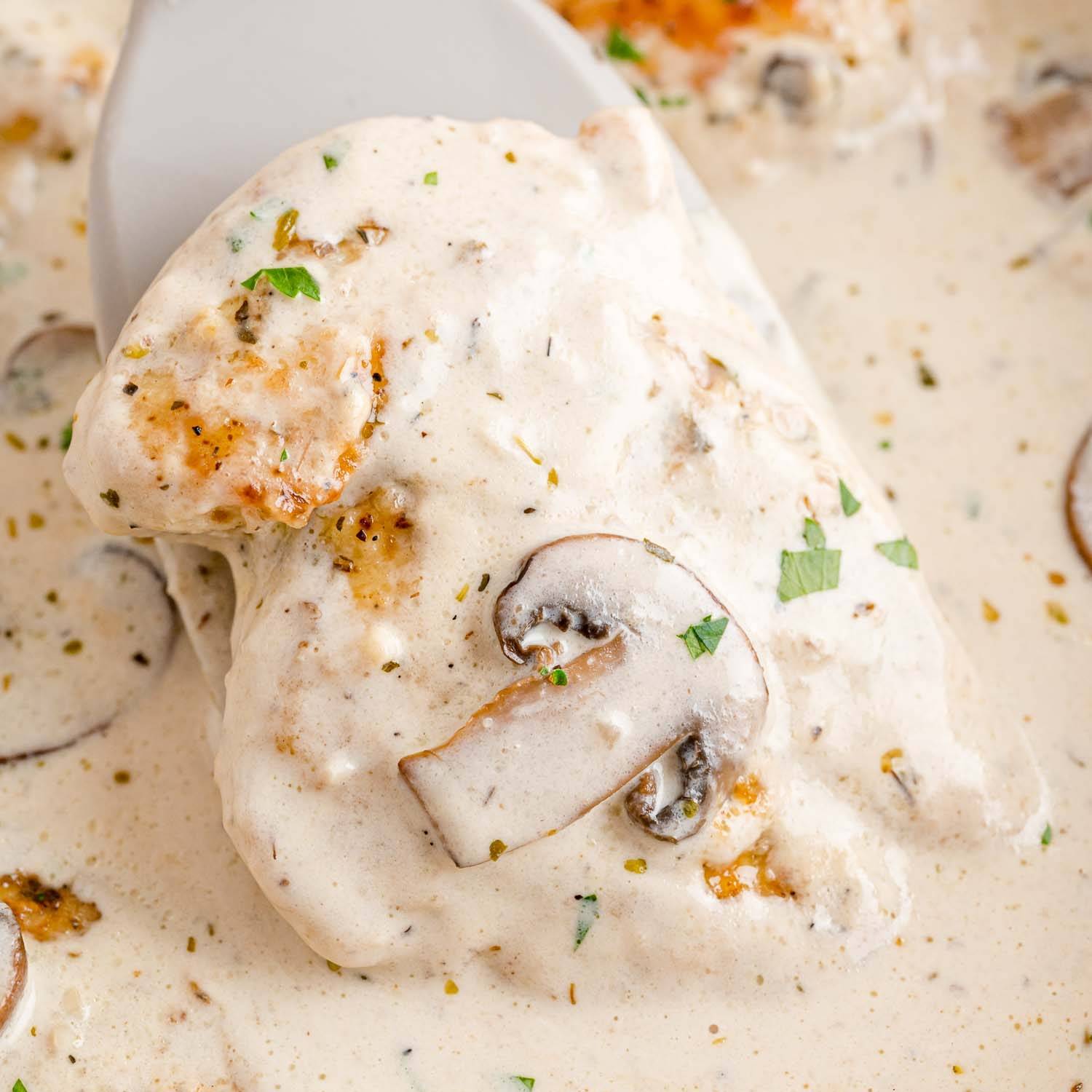 Chicken breast in a creamy marsala sauce with mushrooms, being lifted out of pan.