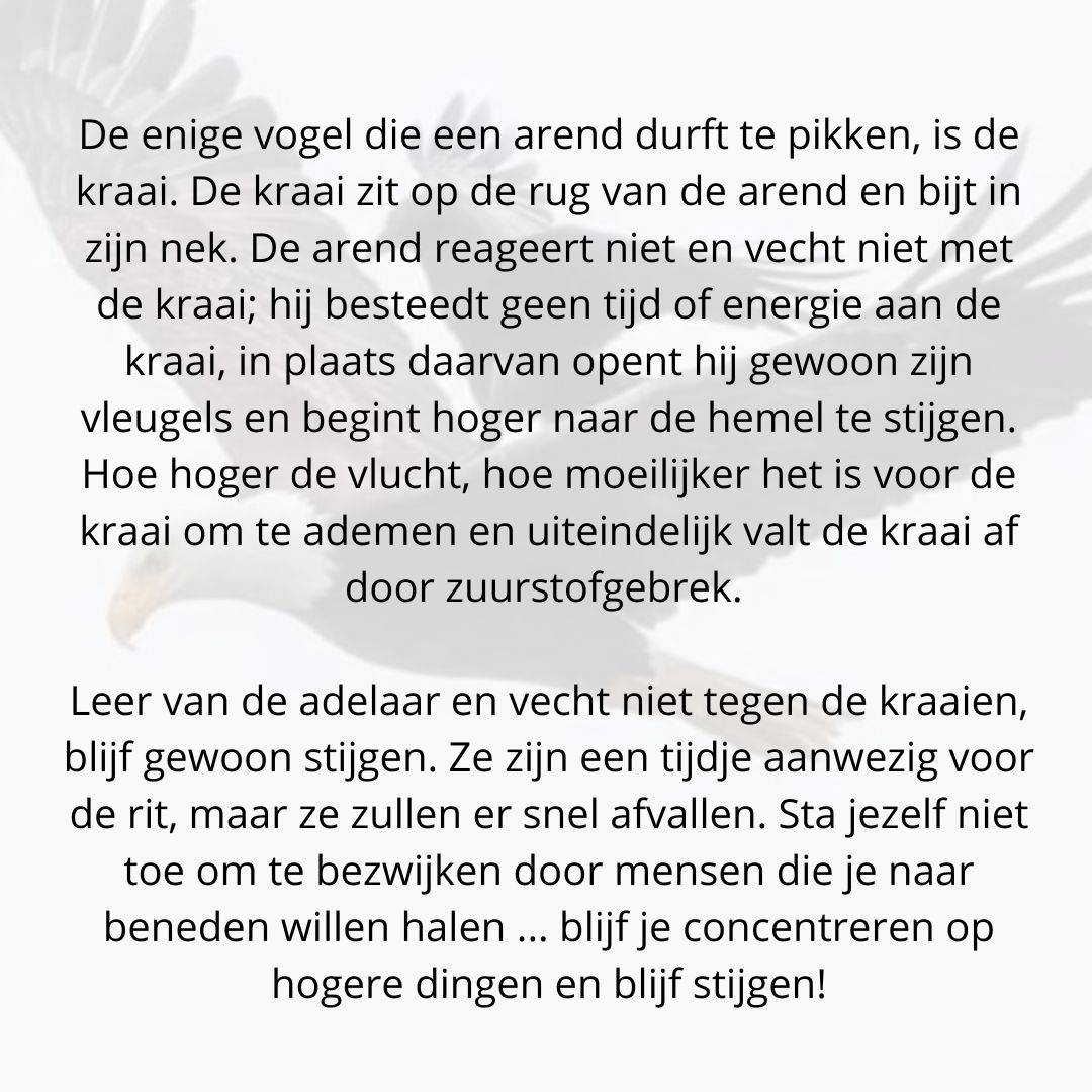 De arend en de kraai