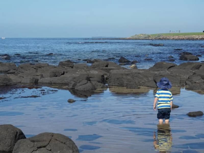 Best Beaches in Melbourne for Families