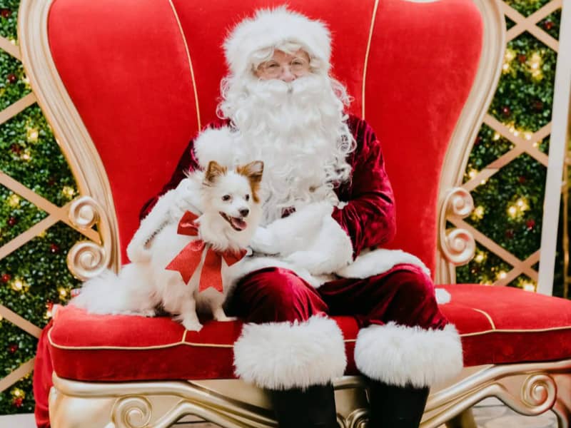 Santa Photos Melbourne