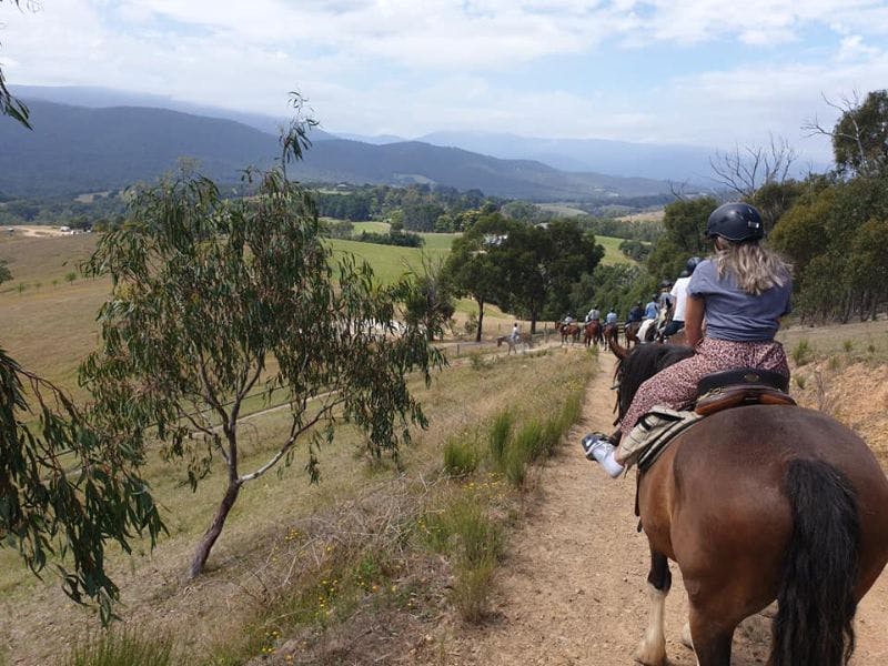 Horse riding Tours