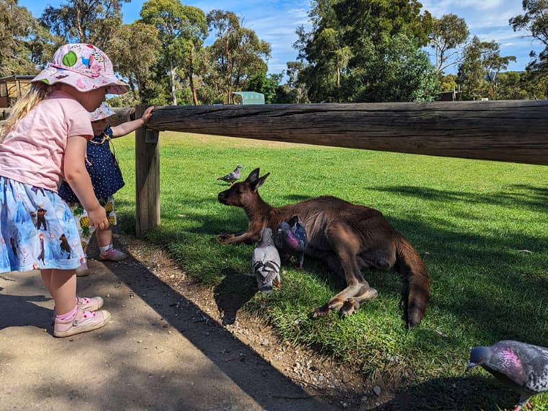 Ballarat Wildlife Park
