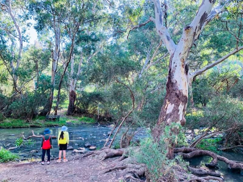 Organ Pipes National Park