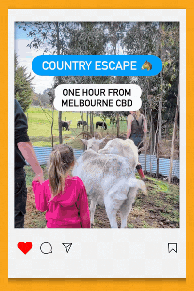 Video tour of Wilindi Estate showing a tree-lined driveway, a cottage bedroom, a pool with a pink pig float, a child meeting farm animals in a paddock, and a child grinning from a blue hanging pod swing.