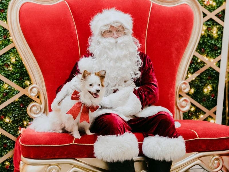 Santa Photo Opportunities in Melbourne